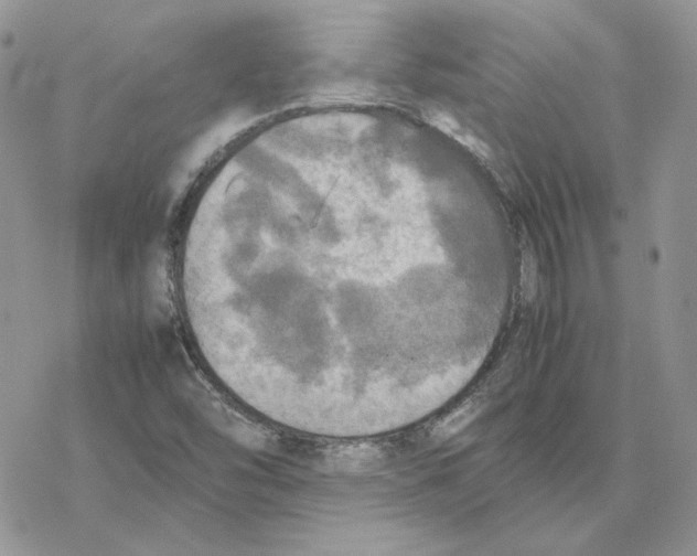 X0000077331454200611171755