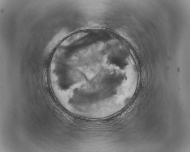 X0000077331455200611171755