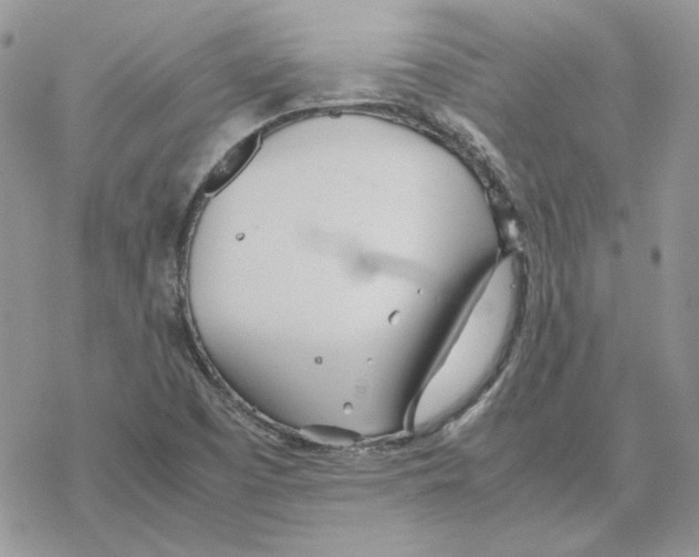 X0000077331457200611171755