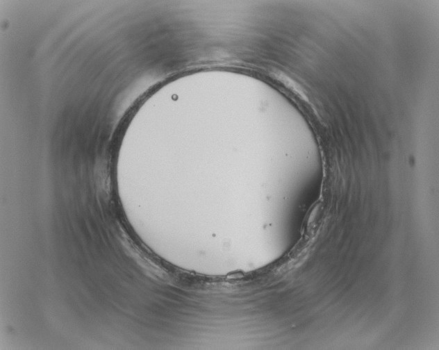 X0000077331458200611171755