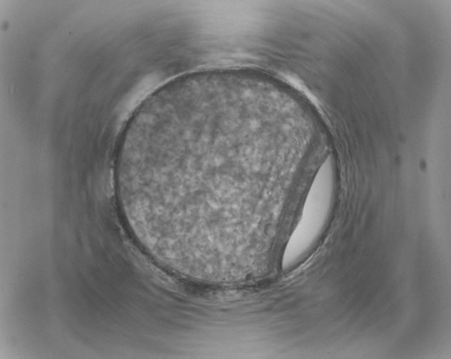 X0000077331459200611171755