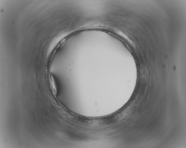 X0000077331461200611171755