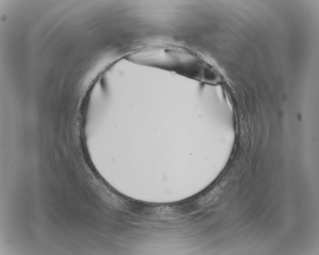 X0000077331463200611171755