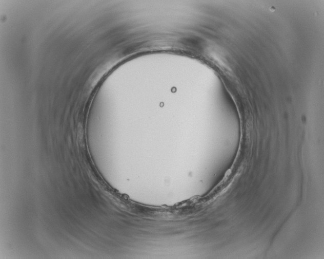 X0000077331465200611171755