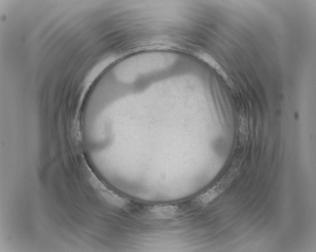 X0000077331466200611171755