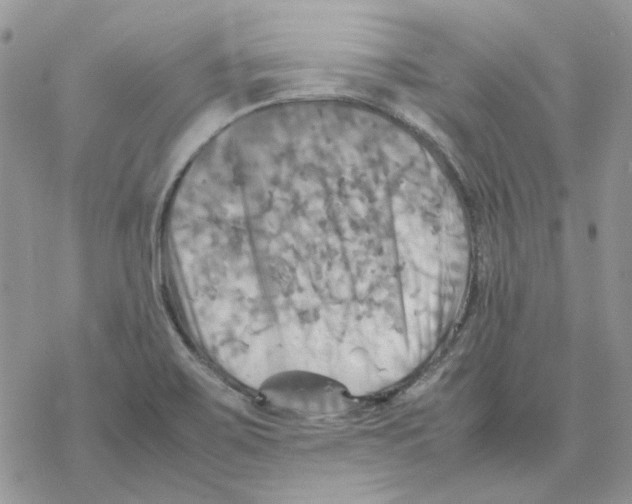 X0000077331467200611171755