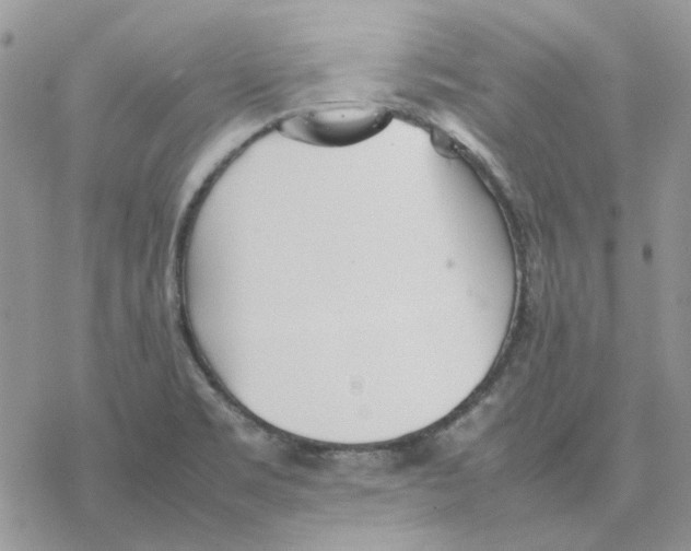 X0000077331469200611171755