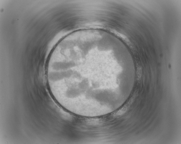 X0000077331470200611171755