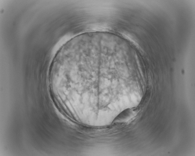 X0000077331471200611171755