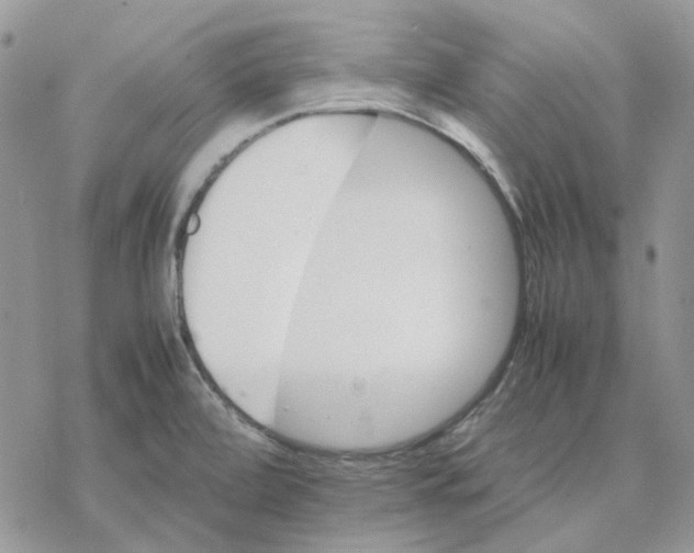 X0000077331472200611171755