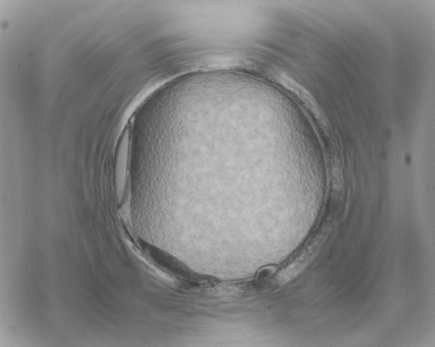 X0000077331473200611171755