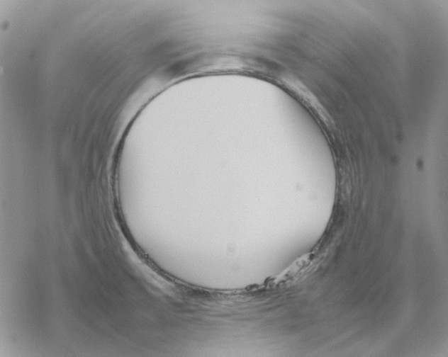 X0000077331475200611171755