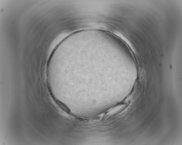 X0000077331477200611171755