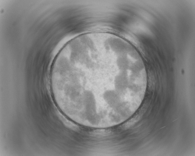 X0000077331478200611171755