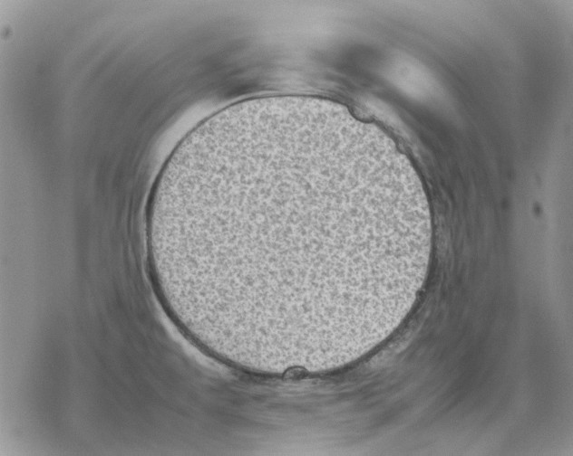 X0000077331479200611171755