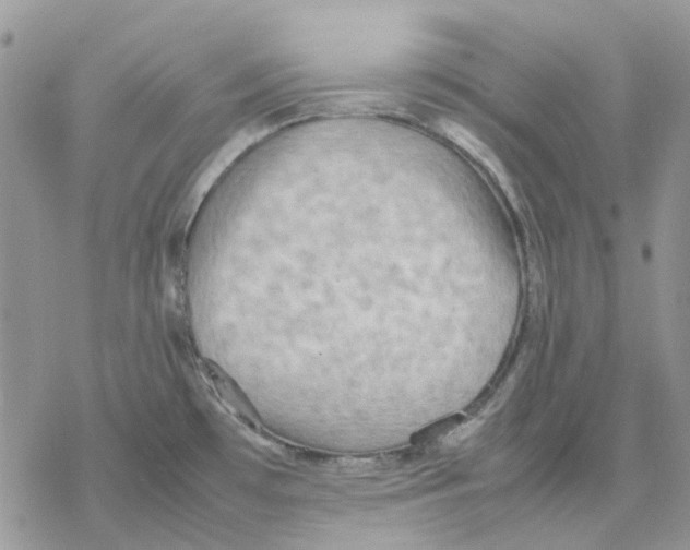 X0000077331481200611171755