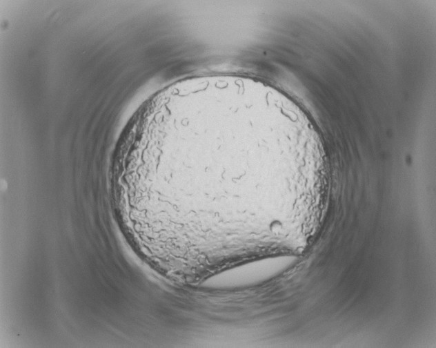 X0000077331483200611171755