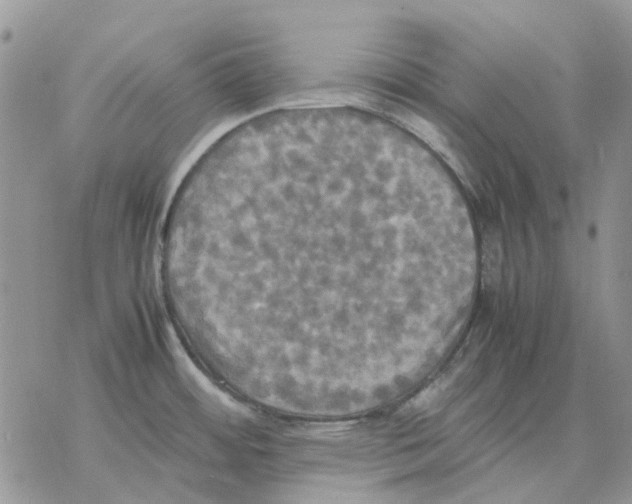 X0000077331484200611171755