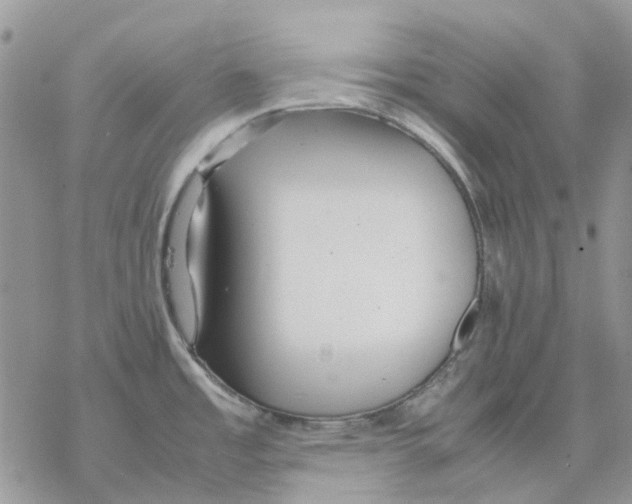 X0000077331485200611171755