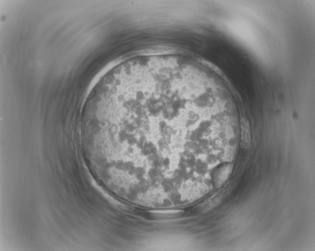 X0000077331487200611171755