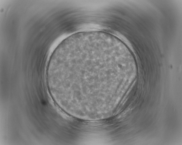 X0000077331488200611171755