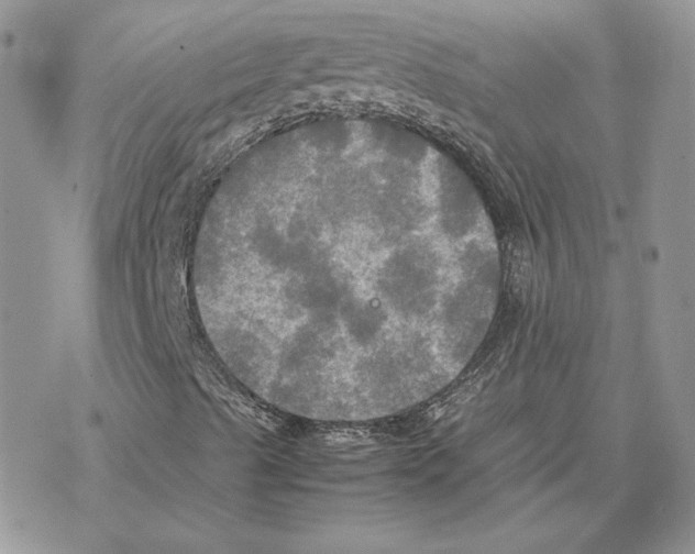 X0000077331489200611171754