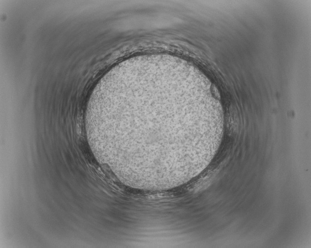 X0000077331490200611171754