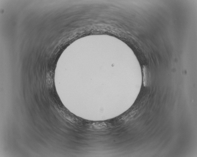 X0000077331491200611171754