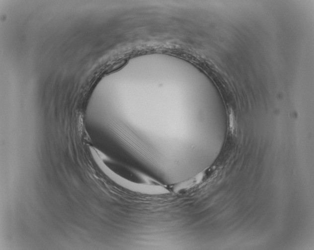 X0000077331492200611171754