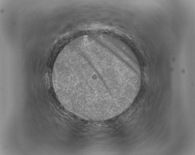 X0000077331493200611171754