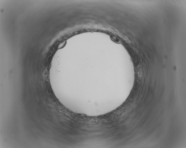 X0000077331495200611171754