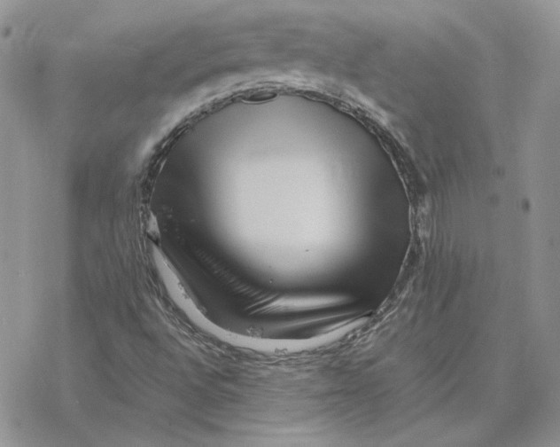 X0000077331496200611171754