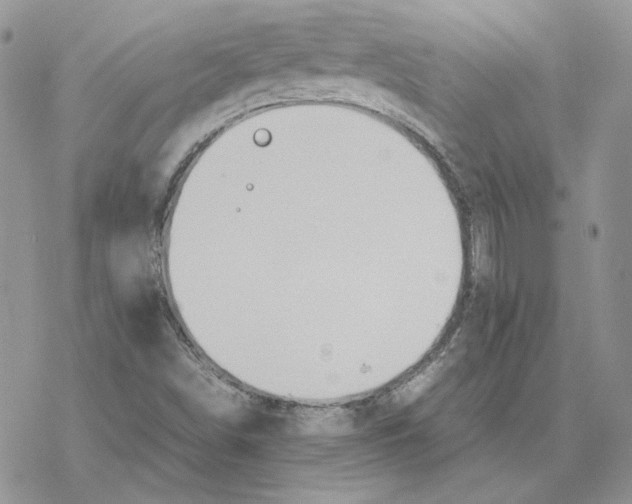 X0000077331498200611171754