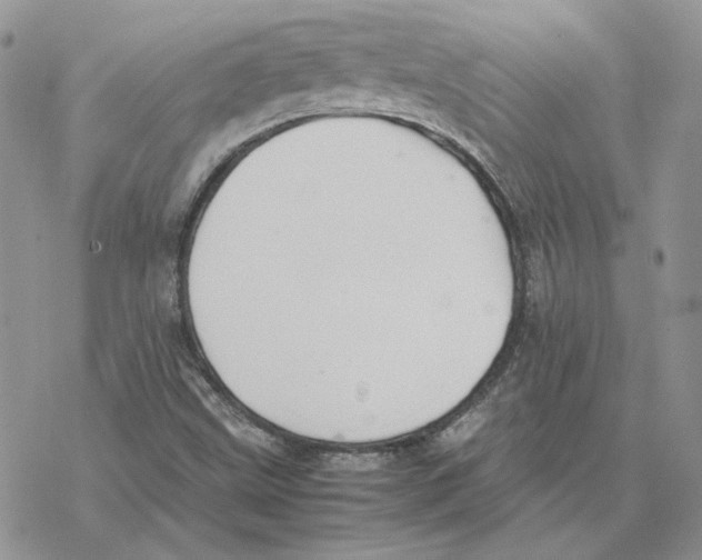 X0000077331499200611171754