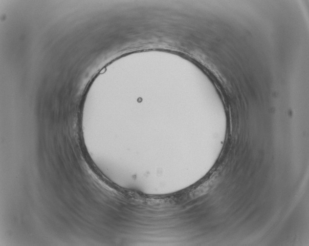 X0000077331500200611171754