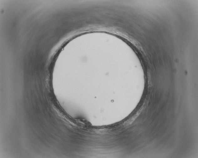 X0000077331502200611171754