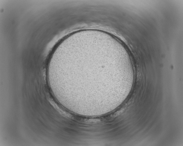 X0000077331503200611171754