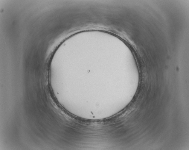 X0000077331504200611171754