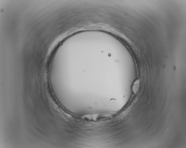 X0000077331506200611171754