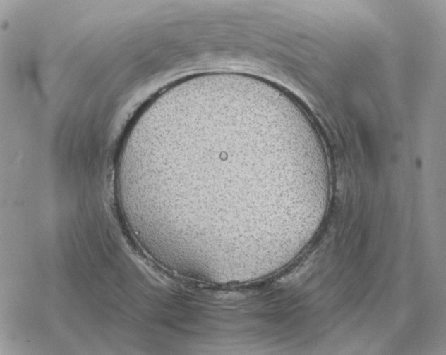 X0000077331507200611171754