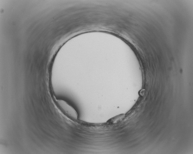 X0000077331508200611171754