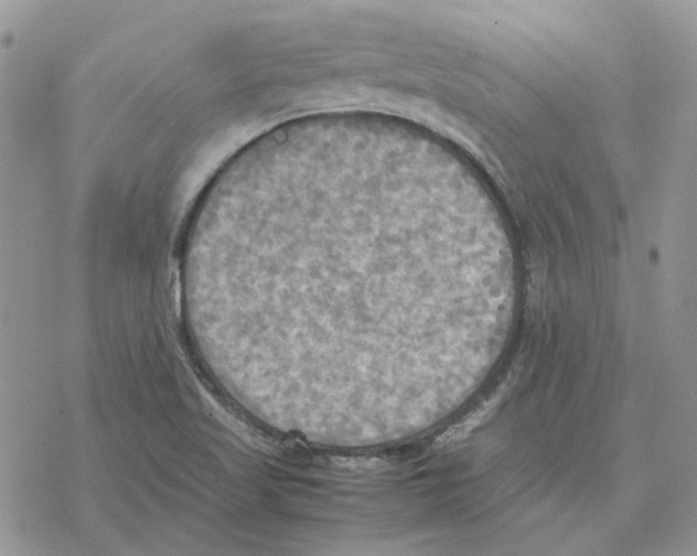 X0000077331509200611171754