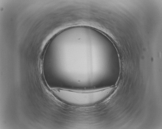 X0000077331510200611171754