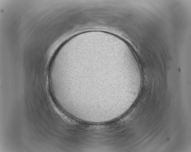 X0000077331511200611171754