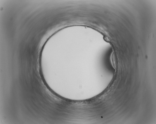 X0000077331512200611171754