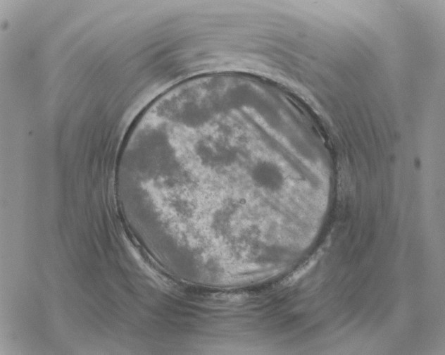 X0000077331513200611171754