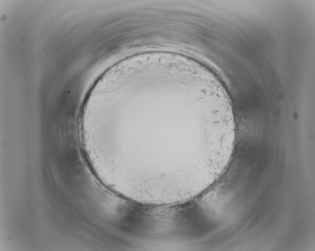 X0000077331514200611171754