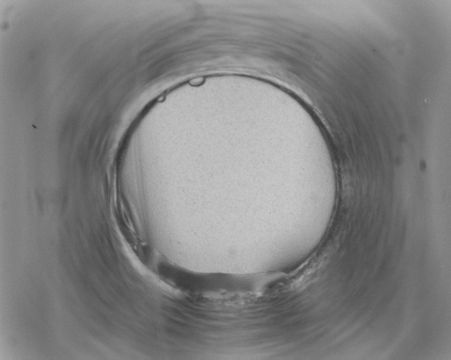 X0000077331515200611171754