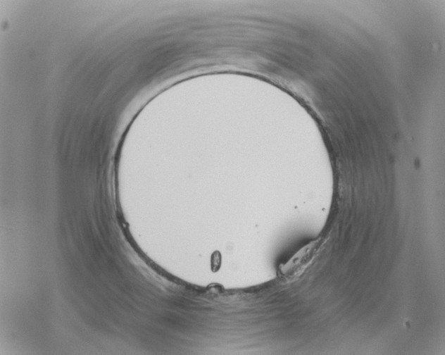 X0000077331516200611171754