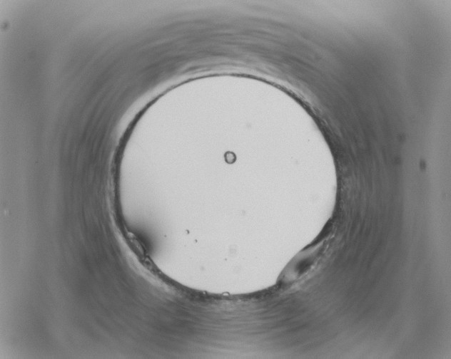 X0000077331518200611171754